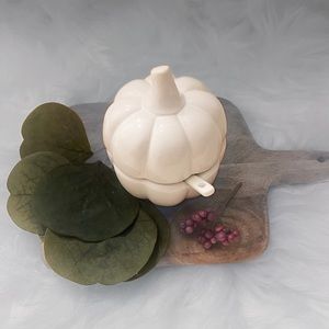 ✂️Target bullseye Fall Mini ceramic pumpkin with spoon